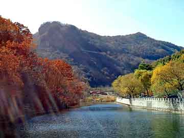 管家婆黑白马报图库，完结都市小说